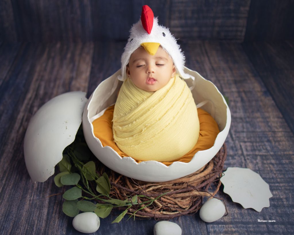 Newborn Baby Photoshoot In Shell